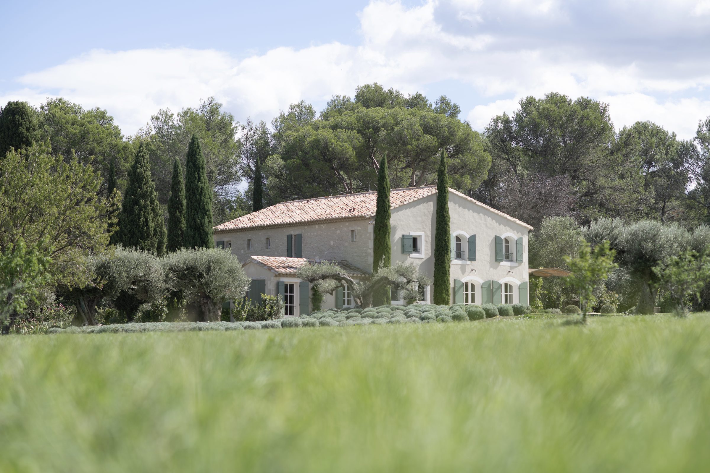 Mas dans prairies vertes et cyprès