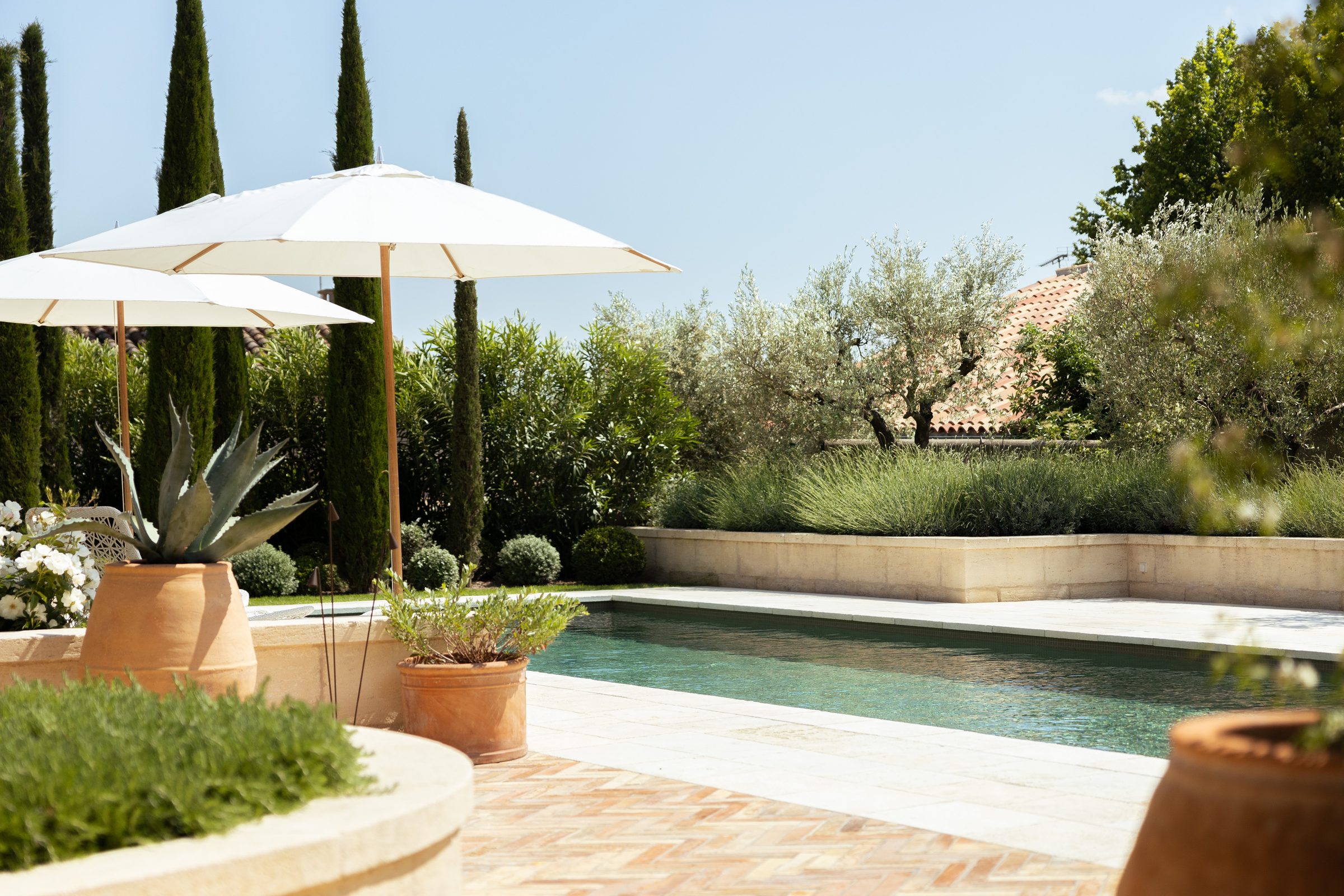 Piscine moderne avec pergola blanche